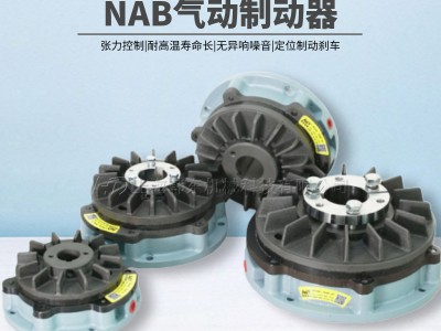 可連續打滑通軸摩擦制動器NAB-10圖3